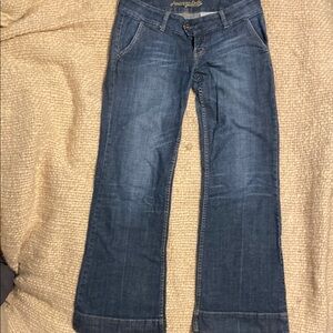American Eagle Outfitters Blue Flare Wide Leg Jeans